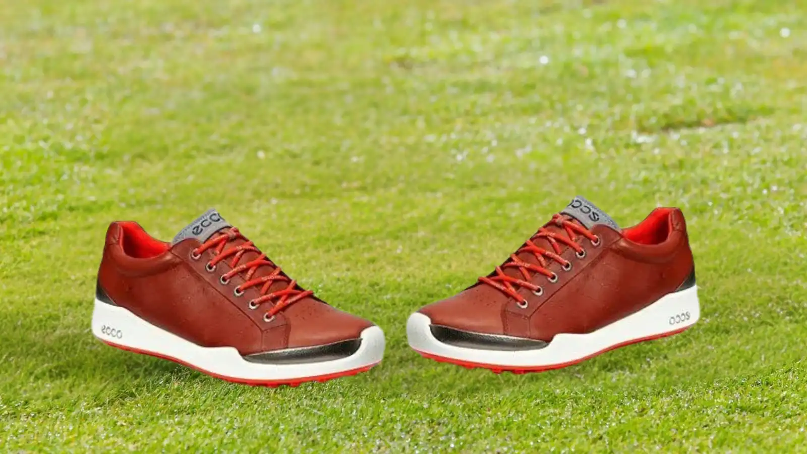 Best ECCO Golf Shoes For Ultimate Comfort