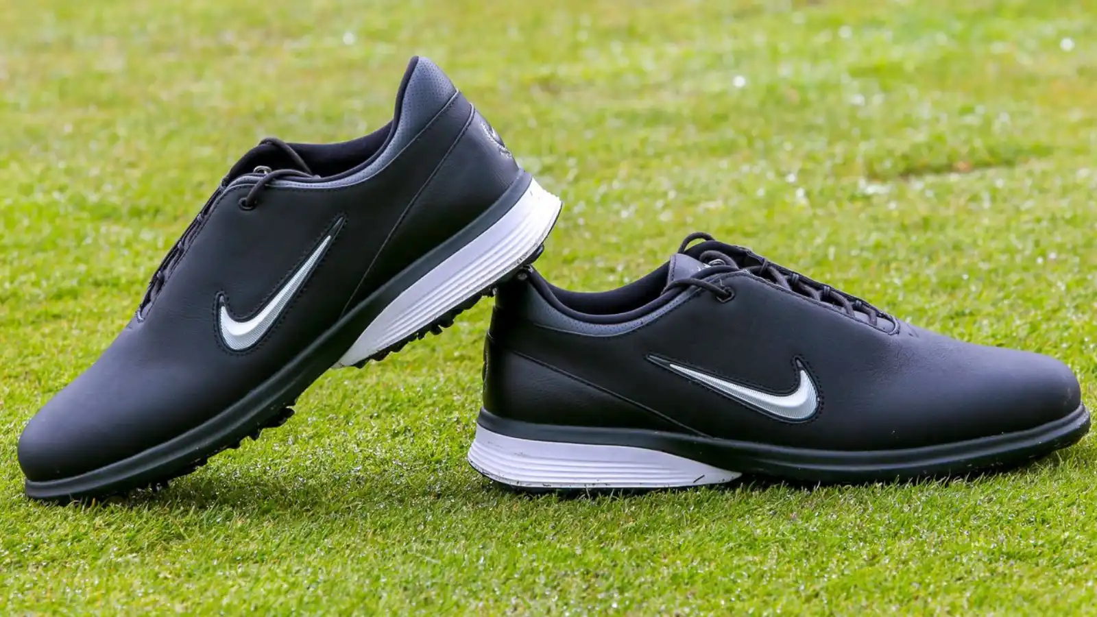 Best Nike Golf Shoes On The Fairway