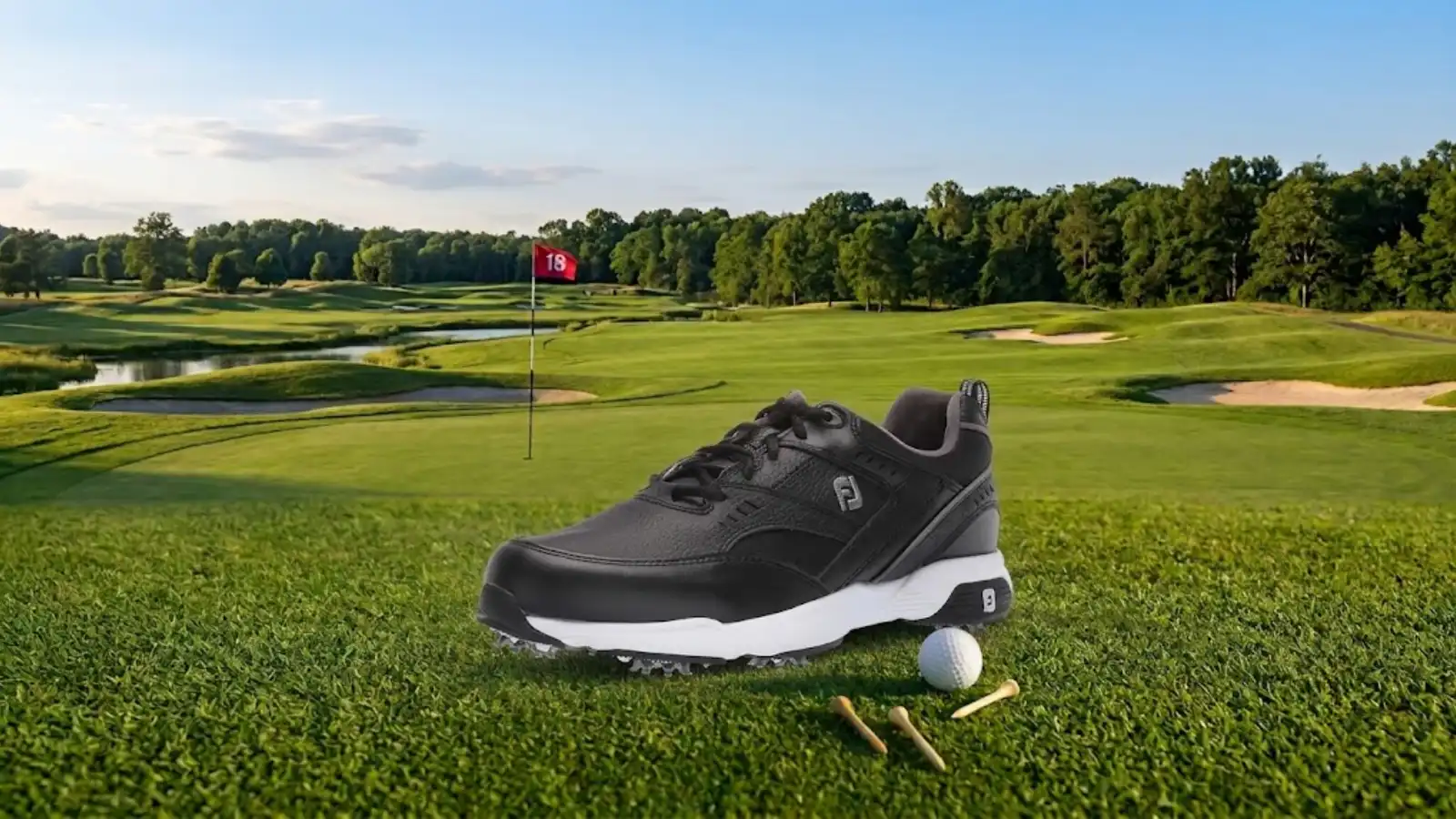 FootJoy Men's sneaker golf shoe