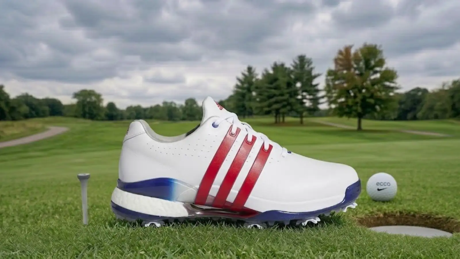Adidas Tour360 24 mens golf shoes